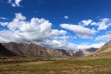 Fototapeta premium landscape with blue sky