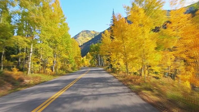 Slow motion front point of view driving car at Aspen, Colorado Rocky mountains road with autumn fall foliage on trees at Castle Creek scenic road with colorful yellow orange leaves in 2019