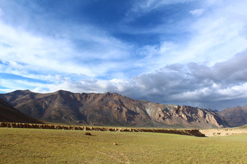 landscape with sky