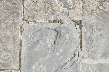 gray stone texture on a pier 