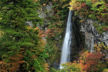 紅葉の米の粉の滝