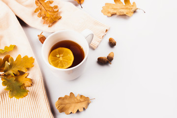 autumn leaves and fruits and berries on a white background, hello autumn, layout for design with place for text.