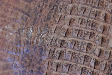 rocodile leather texture,