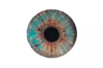 Möbelaufkleber human eye isolated on white © Lorant
