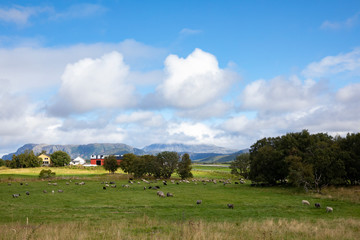 On a hike in pure North Norwegian nature