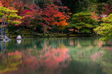scenic view of colorful autumn nature include red green and yellow leafs reflection by water in Kyoto Japan