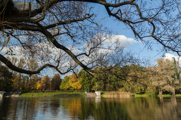 Obraz premium Empty tree branches without leaves in autumn park near small lake