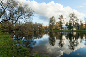 Empty tree branches without leaves in autumn park near small lake