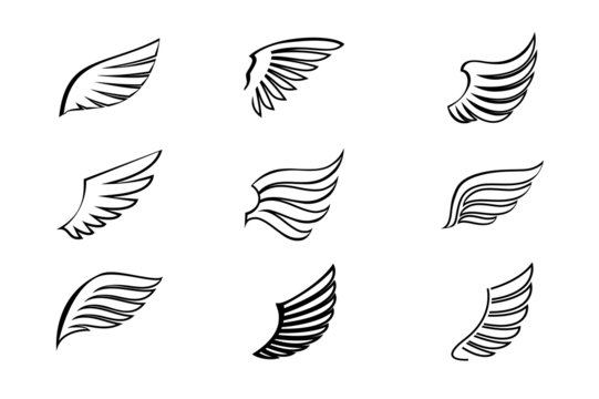 Set black Wings. Vector Illustration and outline Icons. Symbol of freedom. Fantasy logo elements.
