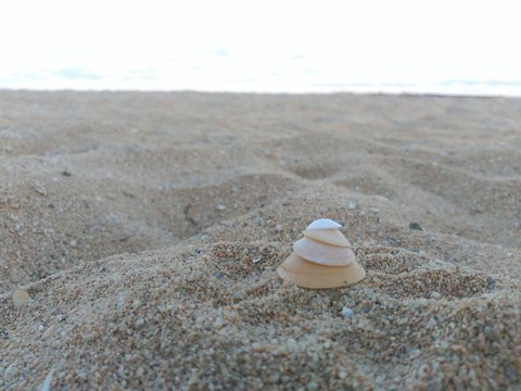 Verano