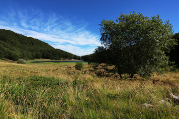 Paesaggio estivo di montagna nell’Appennino modenese; veduta tra sentieri, boschi di faggio, rocce e un piccolo lago