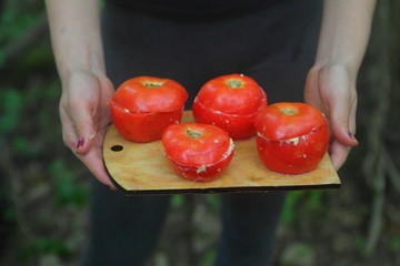 Stuffed tomatoes for a picnic in the forest