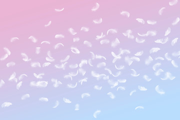 Fototapeta premium Beautiful Abstract, Freedom. Group of light fluffy a white feathers floating in the air. Pink and blue gradient background.