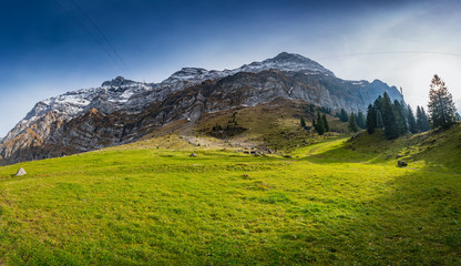 mountain landscape in summer