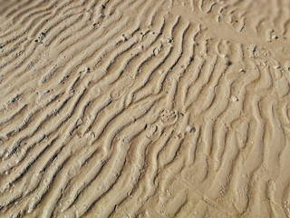 Beach Sand texture. Sandy sea for background.