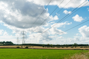 Row of Pylons in the Scottish countryside. Green energy.