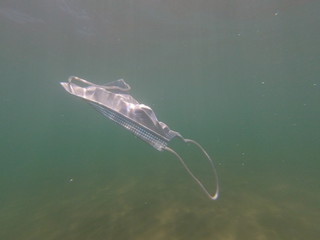 Mascherina coronavirus inquina il mare