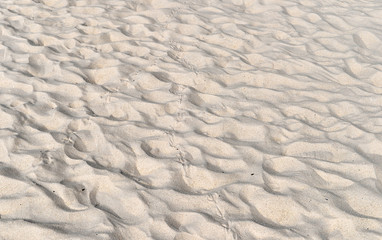 Fototapeta na wymiar Beach Sand texture. Sandy sea for background.