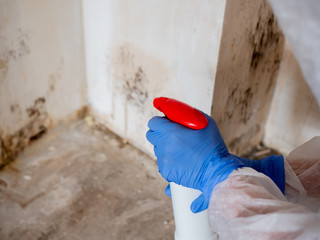 A woman in a protective suit sprays the walls of an apartment with a chemical agent to remove mold.