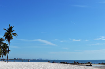 Tropical beach, summer sea sunny sky background