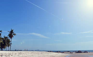 Tropical beach, summer sea sunny sky background