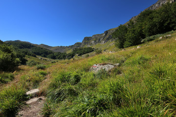 Fototapeta na wymiar Paesaggio estivo di montagna nell’Appennino modenese; veduta tra sentieri, boschi di faggio, fiori ed erbe spontanee, rocce