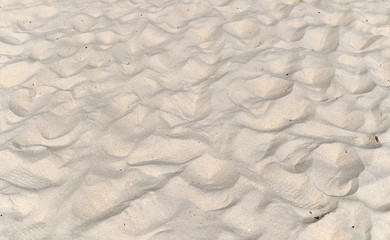 Beach Sand texture. Sandy sea for background.