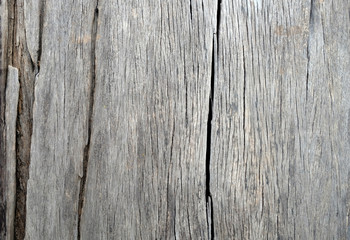 Abstract Wood texture panels natural wooden background