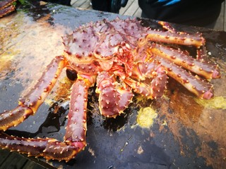 Norvegian king crab 
