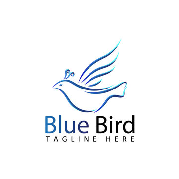 blue bird logo template design vector in isolated white background
