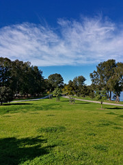 Fototapeta na wymiar Beautiful view of a park with green grass, tall trees and paved trail for walking and cycling, Reid Park, Parramatta Cycleway, Rydalmere, Sydney, New South Wales, Australia 