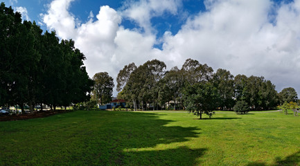 Fototapeta premium Beautiful view of a park with green grass, tall trees and paved trail for walking and cycling, Reid Park, Parramatta Cycleway, Rydalmere, Sydney, New South Wales, Australia 