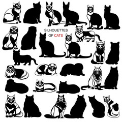Vector silhouettes of cats on white background. Black and white cats.