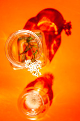 glass jar with a flower on an orange background. minimalism concept