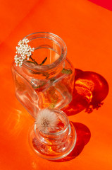glass jar with a flower on an orange background. minimalism concept