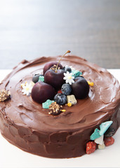 Tasty chocolate fudge cake with fresh cherry for decoration
