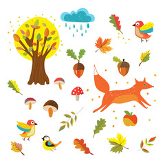 Autumn nature set icons, cute design. Vector graphic illustration