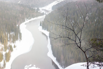 Tree on the background of a panorama of the winter river