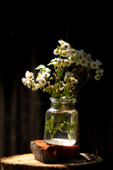 a bouquet of daisies in a glass jar