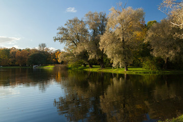 Fototapeta na wymiar Autumn park landscape with bright trees