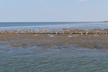 Wattenmeer in Nessmersiel