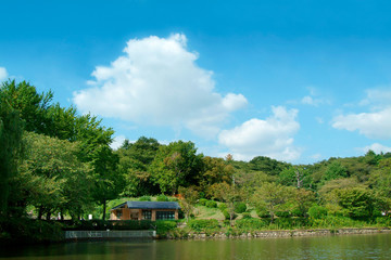 神奈川県立三ツ池公園（横浜市鶴見区）