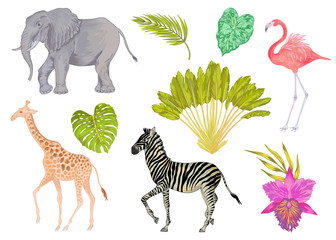 Vector cute realistic illustration of zebra, elephant, flamingo and giraffe with flowers and leaves