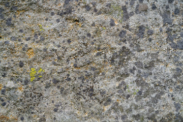 Close up of grey Derbyshire gritstone rock with moss and lichen