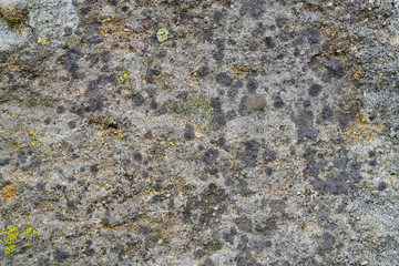 Close up of Derbyshire gritstone rock