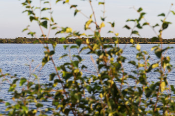 Ewiges Meer