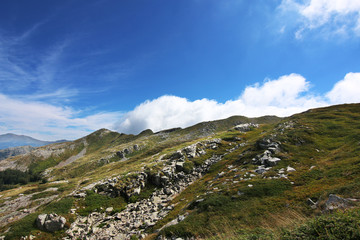 Paesaggio estivo di montagna nell’Appennino modenese; veduta tra sentieri, rocce, fiori ed erbe spontanee