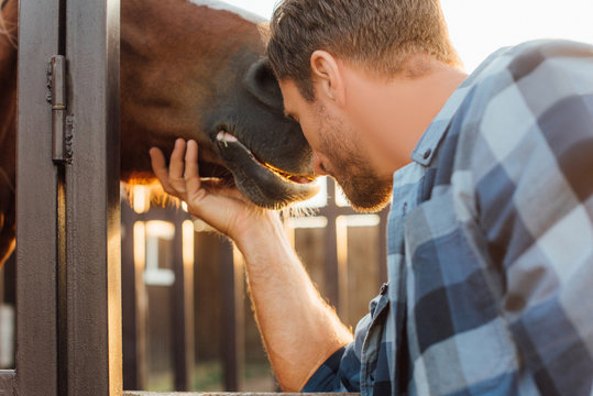 selective focus of rancher leaning on horse head near corral fence