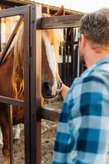 selective focus of farmer in checkered shirt touching horse in corral on farm
