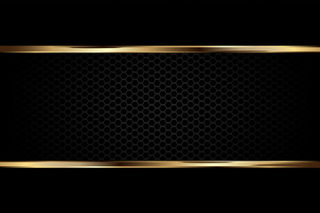 Luxury dark black background with carbon texture and golden border line, Vector graphic illustration